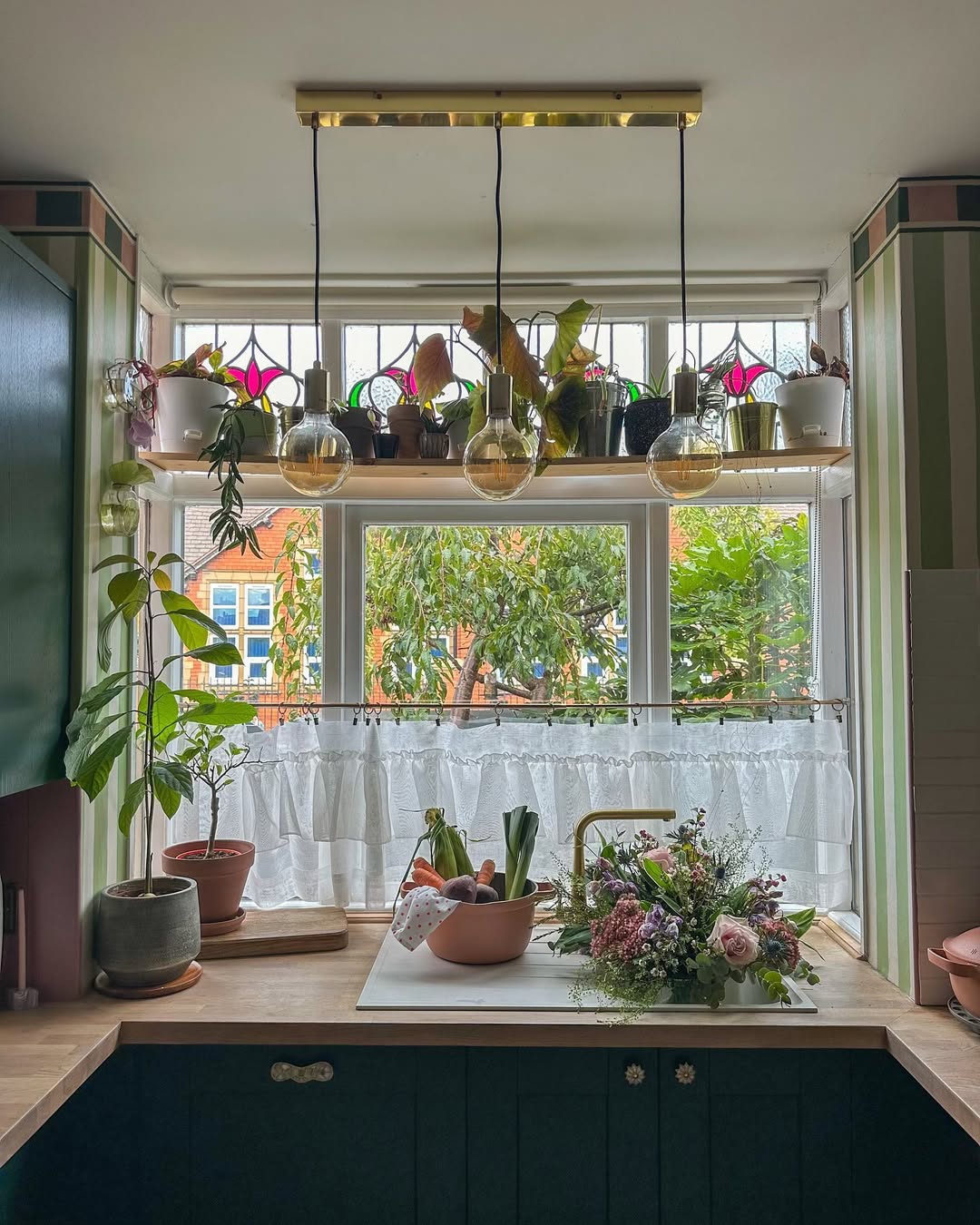 kitchen window with plants