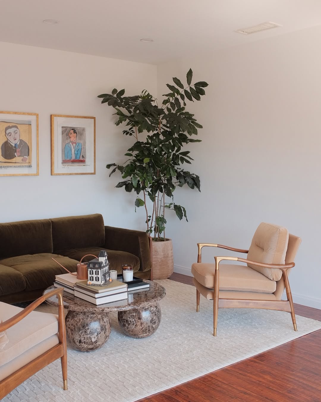minimalist living room with plants